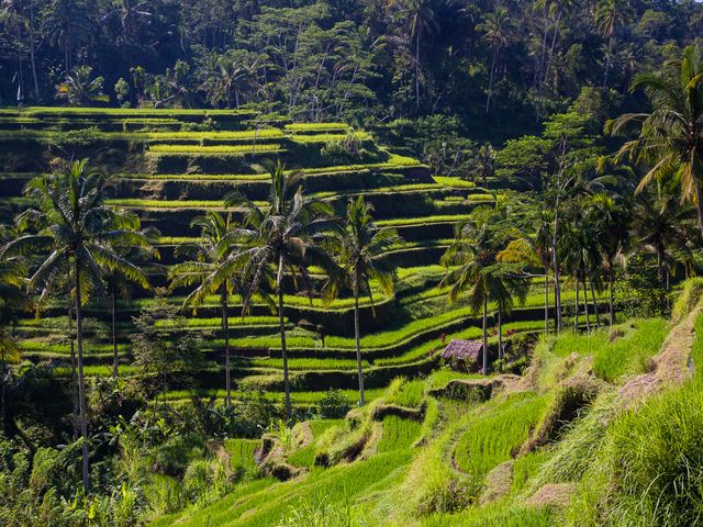Bali Province Cultural Landscape