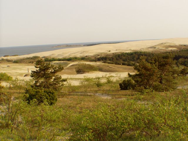 Curonian Spit