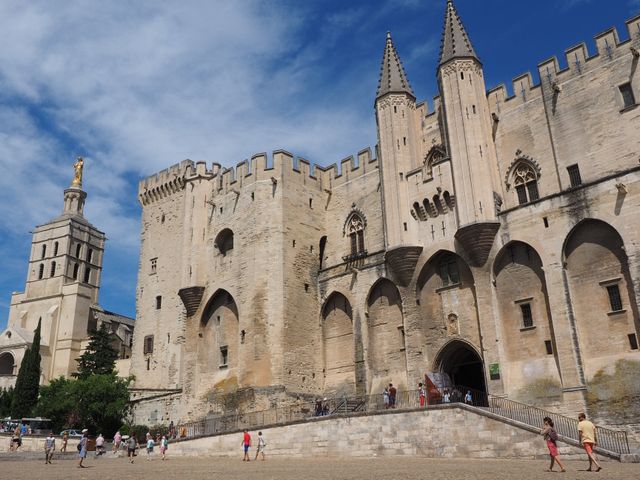 Avignon, Papal Palace and Episcopal Historic Centre Ensemble and Avignon Bridge