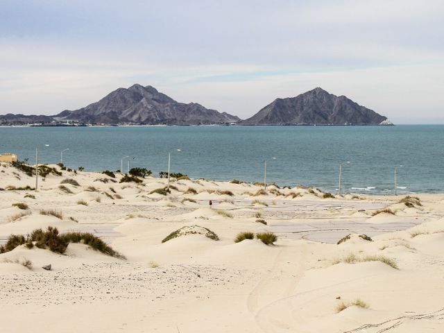 Gulf of California Islands and Protected Areas