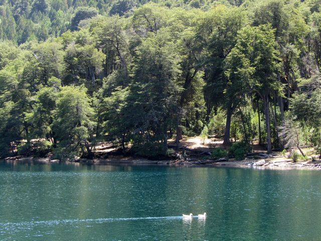Parque Nacional Nahuel Huapi