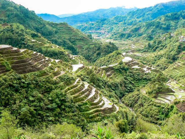Ifugao (Banaue) Rice Terraces