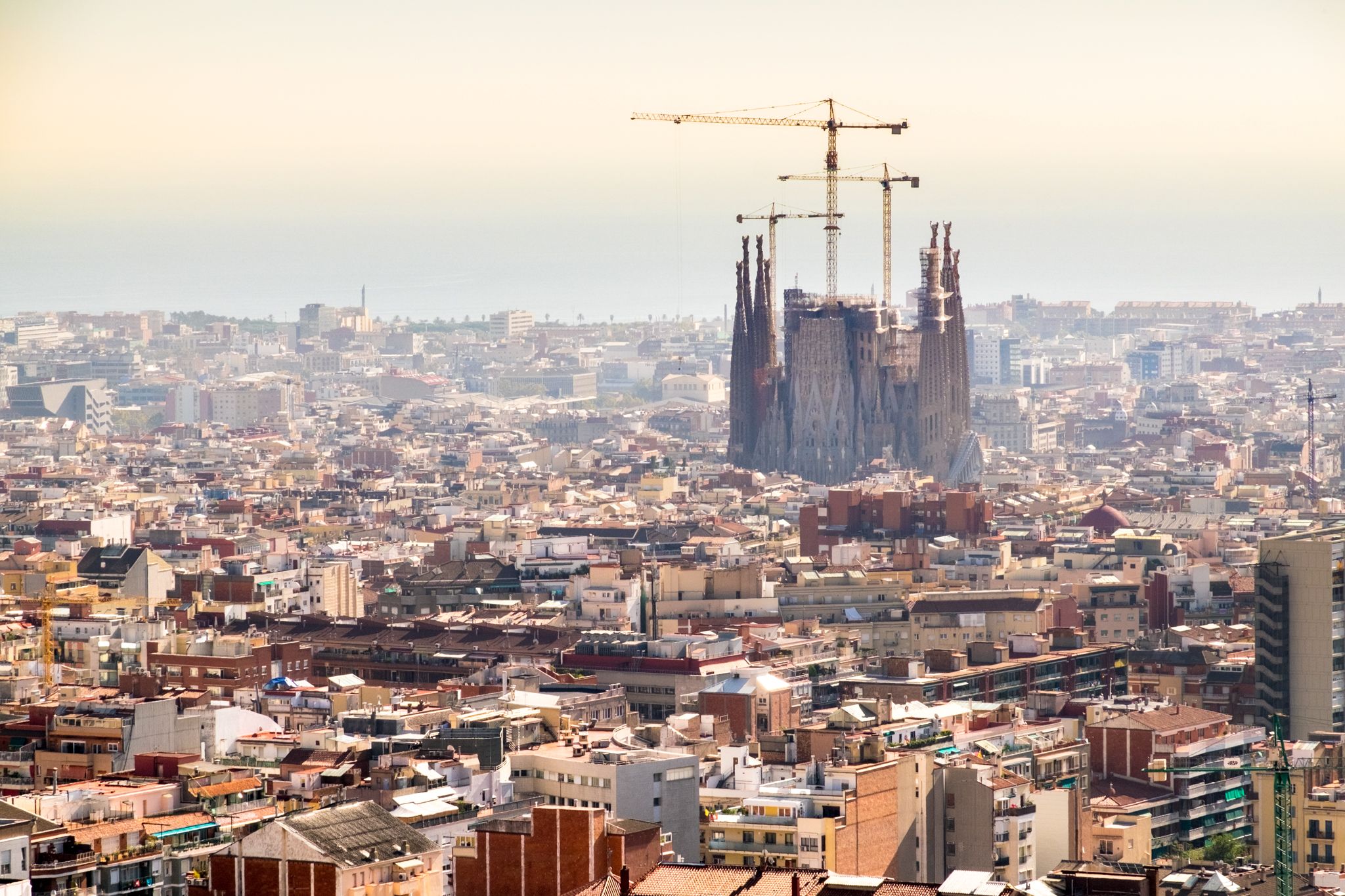 Sagrada Familia from afar