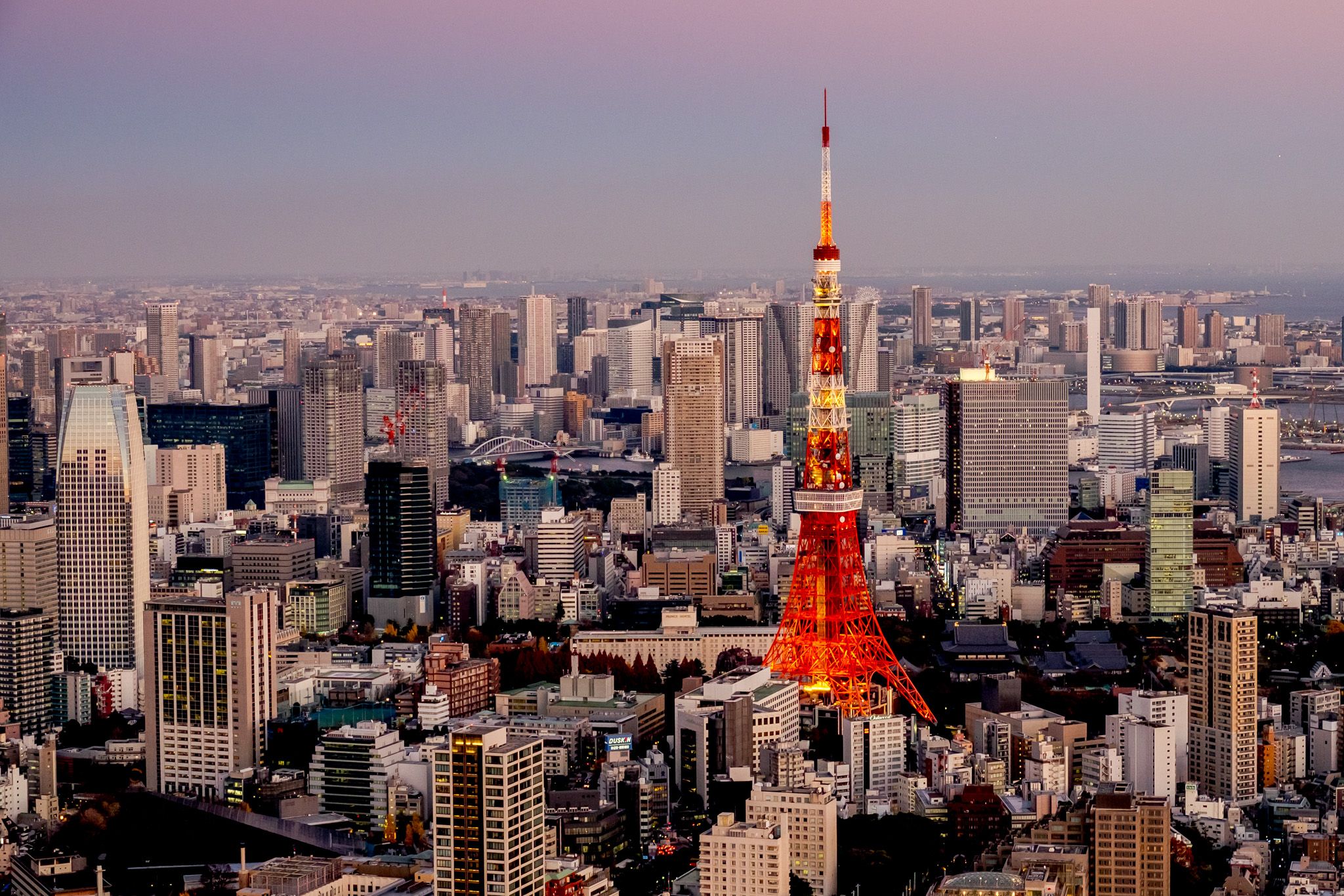 the beautiful Tokyo Tower, all lit up at night