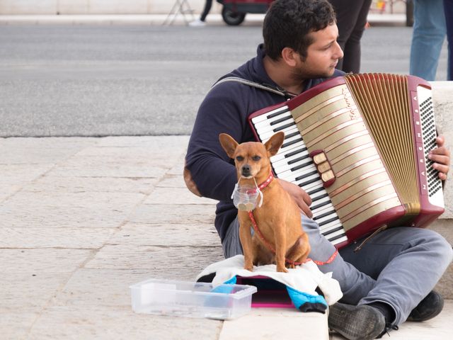 basking with small dog at Belem Tower