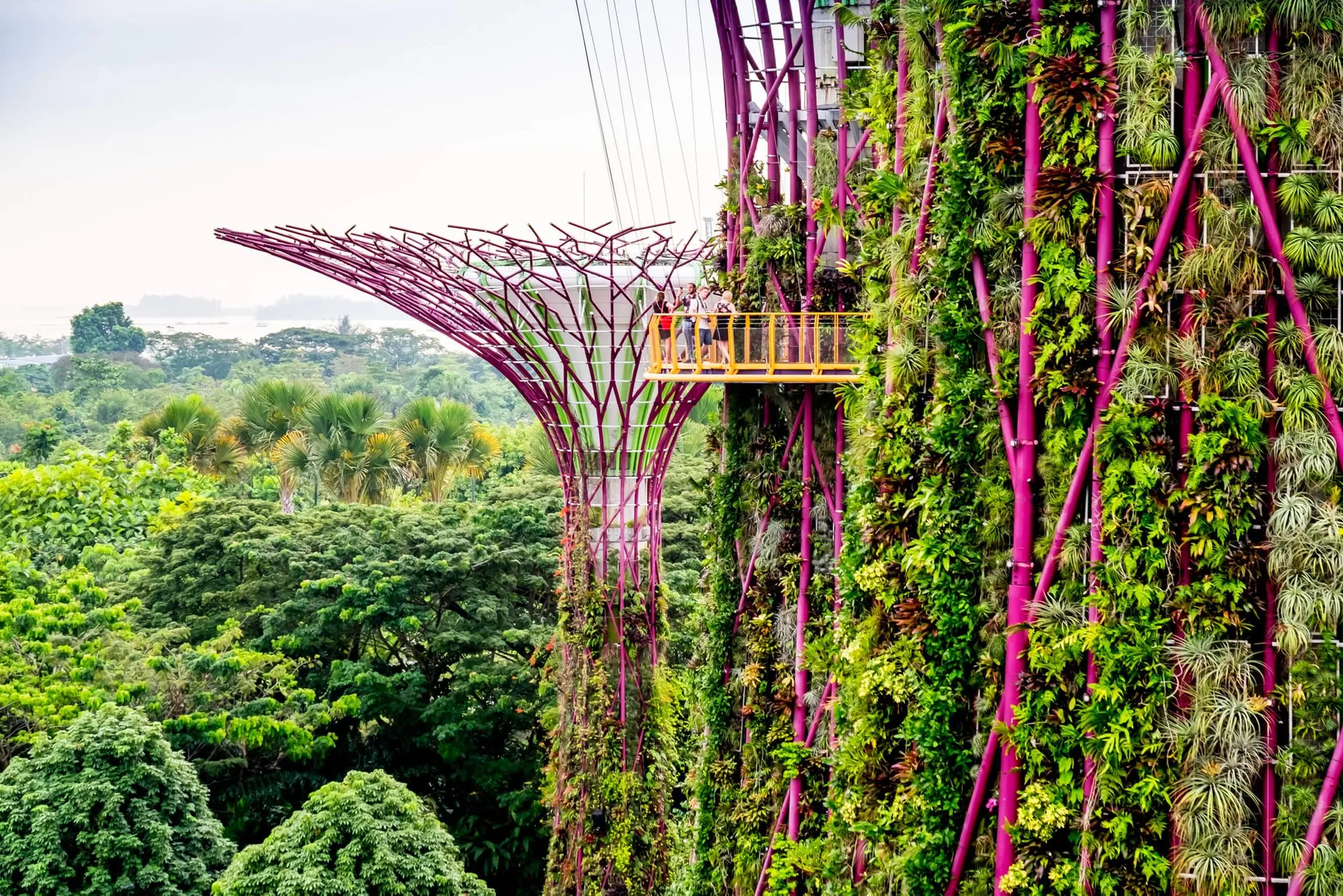Gardens by the Bay