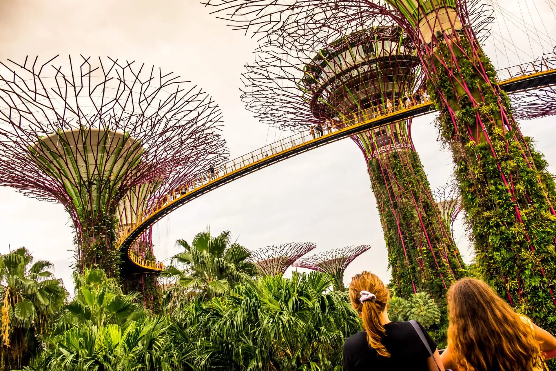 Supertrees, Gardens by the Bay