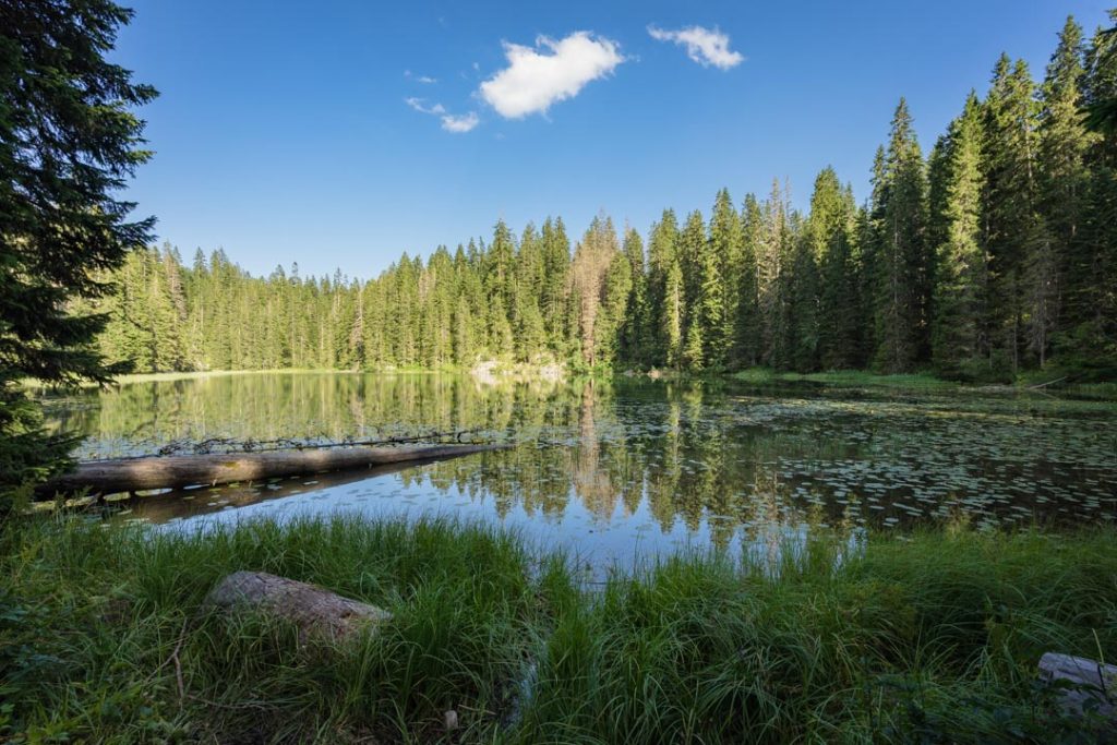 Durmitor National Park - best things to do in Montenegro