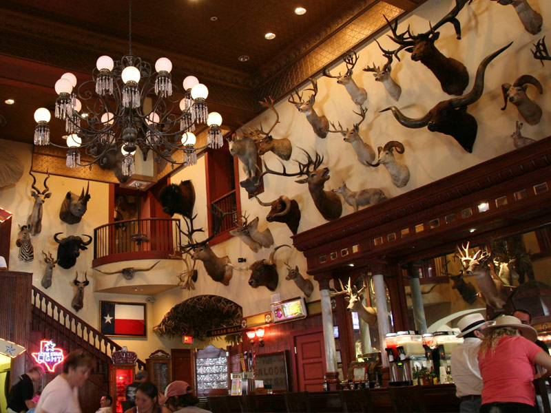Buckhorn Saloon & Museum