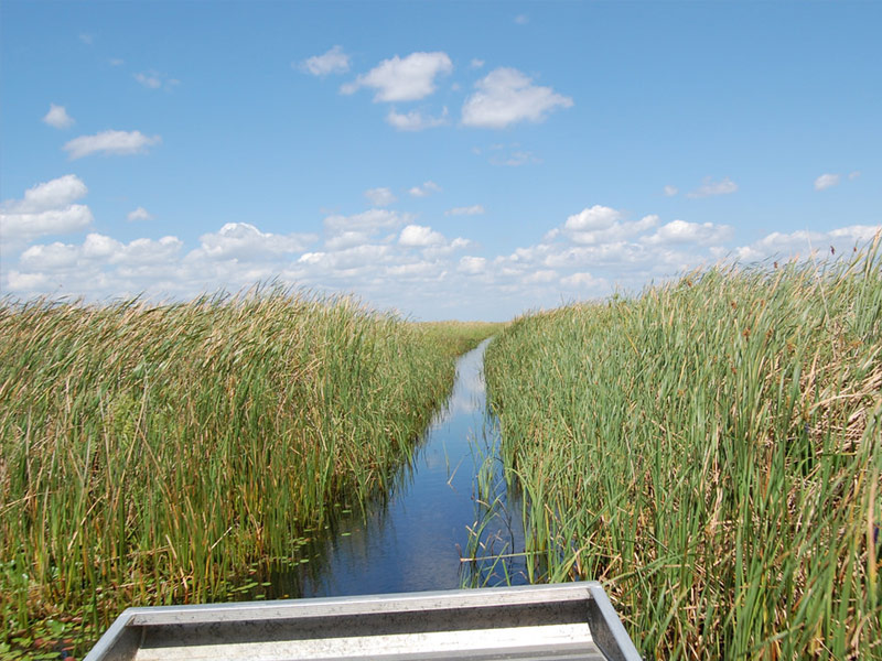 Lake Okeechobee