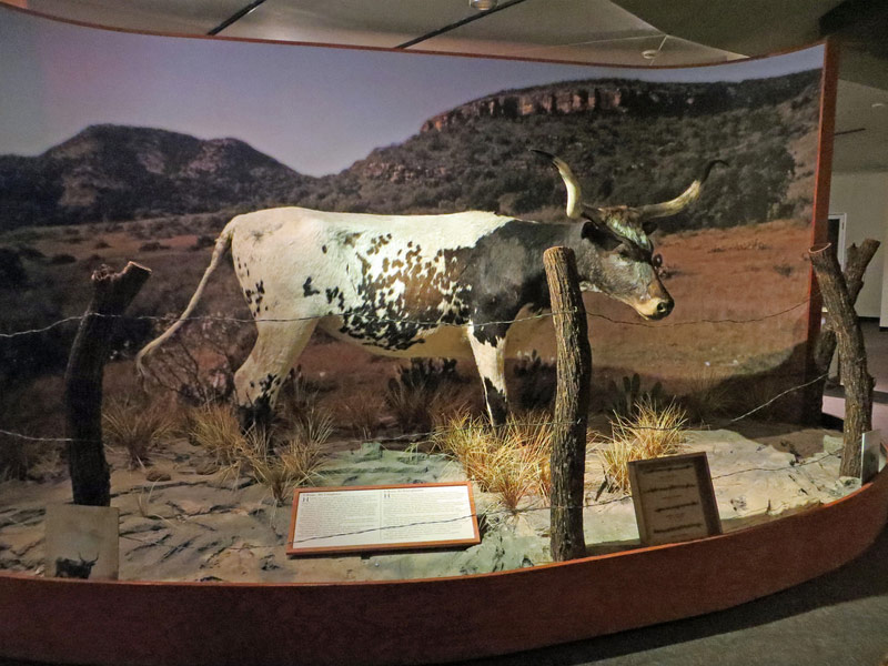 Texan Cultures