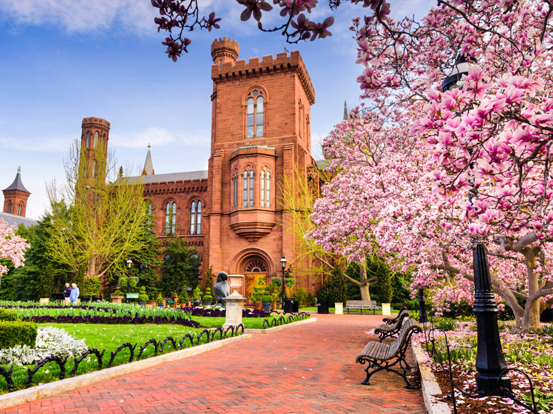 The Smithsonian Museums