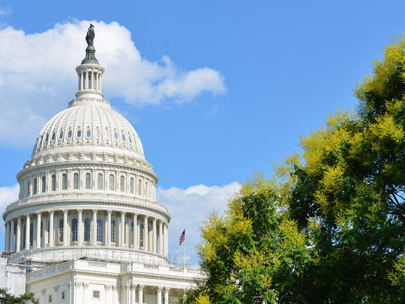 The Capitol Building