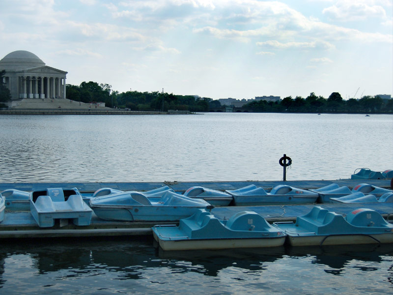 Paddle the Tidal Basin
