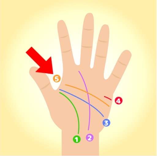 手相可以看出整個人生 帶你用5條掌紋一次摸清人生大小事 Mamibuy編輯部 媽咪拜mamibuy