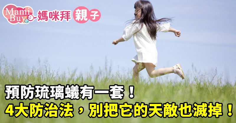 預防琉璃蟻有一套 落實正確防治4大觀念 別把它的 天敵 也滅掉 Mamibuy編輯部 媽咪拜mamibuy