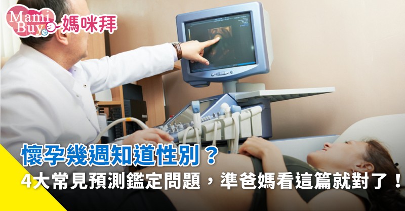 幾週知道性別 爸媽們看過來 常見預測鑑定q A懶人包 Mamibuy編輯部 媽咪拜mamibuy