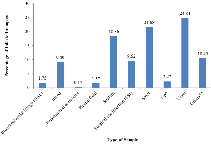 Isolation of yeast/ yeast like fungi from different samples