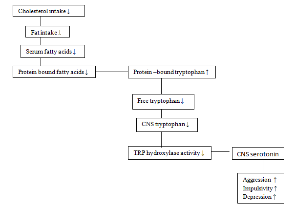 Possible hypothesis underlying the relationship between low cholesterol and depression