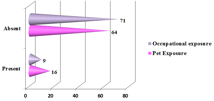 Pet and occupational exposure