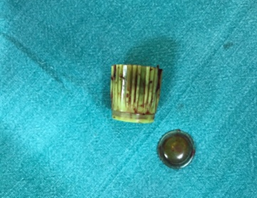 Retrieved bottle cap