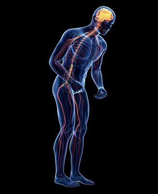 Virtual image – picturesque representation of the Parkinson  disability generated through computer programmes.