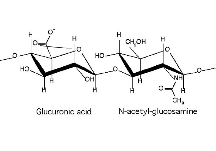 Structure of hyaluronic acid