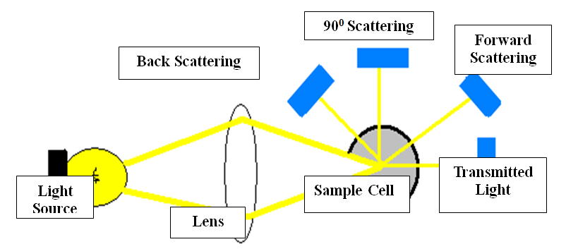 Light scattering mechanism of lipemic interference