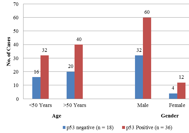 Distribution of variable in 108 OSCC by p53 status