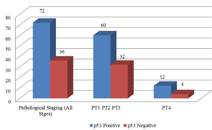 Pathological Staging and p53 Status