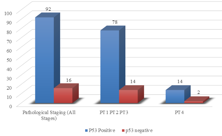Pathological Staging and Ki-67 Status