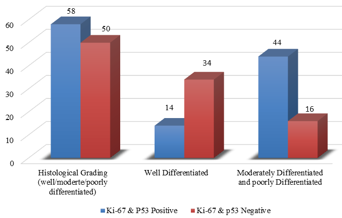 Both Ki-67 and p53 expression in relation to Histological grading 
