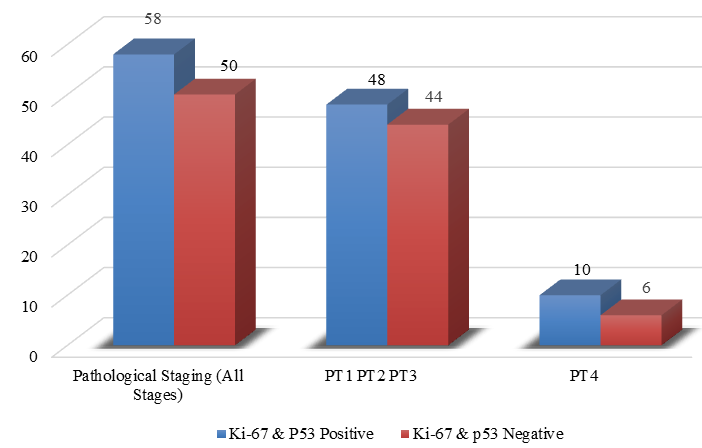 Both Ki-67 and p53 expression in relation to Pathological Staging 
