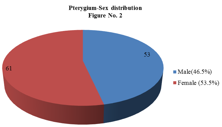Showing sex distribution of pterygium