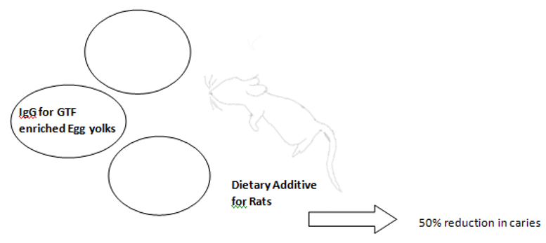 Passive immunity - Egg yolk antibodies