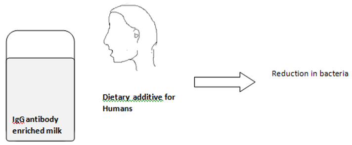 Passive immunity - Immune bovine milk and whey