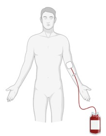 An overview of blood donation