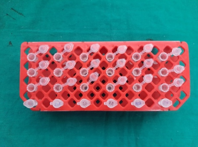 Serial dilution procedure