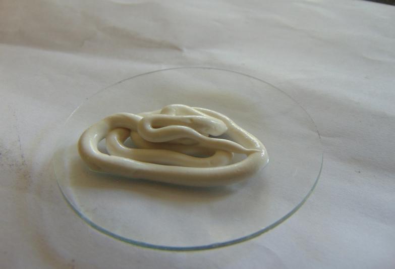 Physical examination of herbal toothpaste.