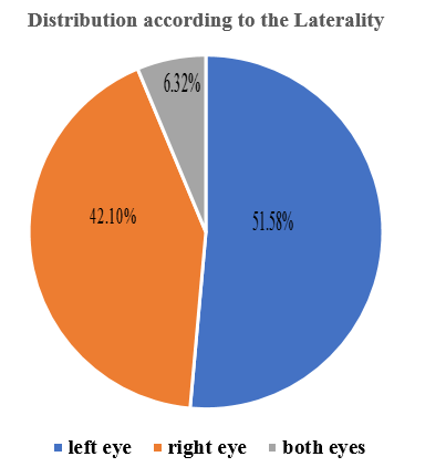 Distribution participants according to the laterality