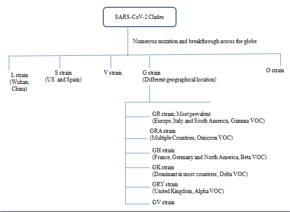 SARS-CoV-2 clades and their geographical distribution as per GISAID nomenclature system