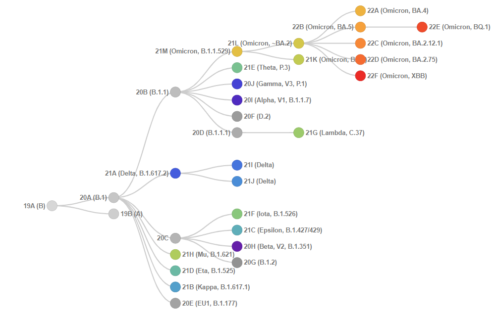 Graphical representation of SARS-CoV-2 clades defined by Next strain12, 13