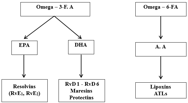 Biosynthesis of lipid mediators