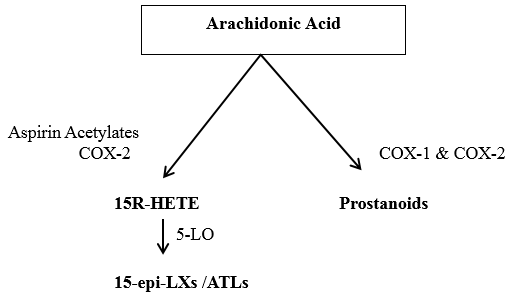 Generation of ATL mediators