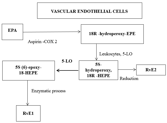 E-series resolvin biosynthesis