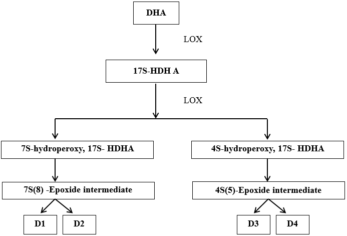 D-series resolvin biosynthesis