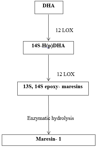 Biosynthesis of maresins