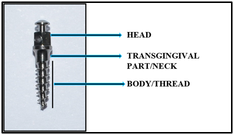 Parts of miniscrew
