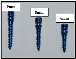 Various available length of miniscrew
