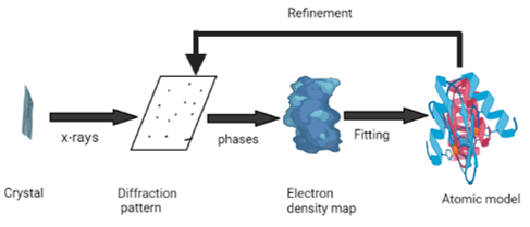 Protein structure determination by X-ray crystallography